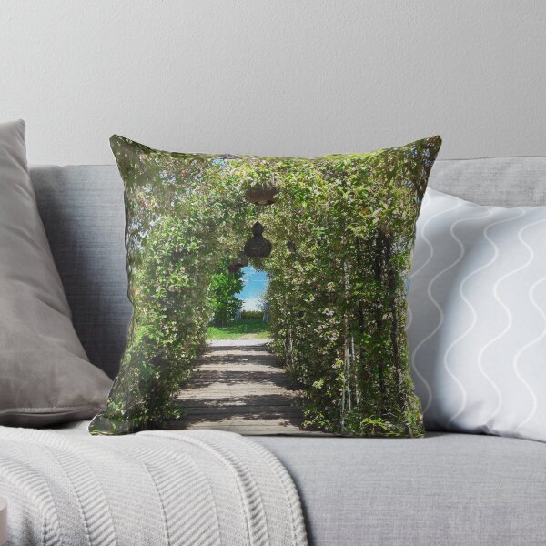Throw Pillow