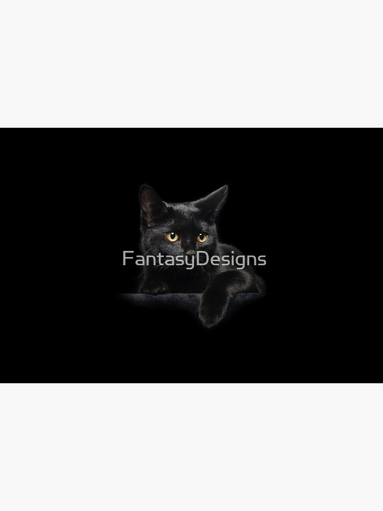 Black Cat by FantasyDesigns