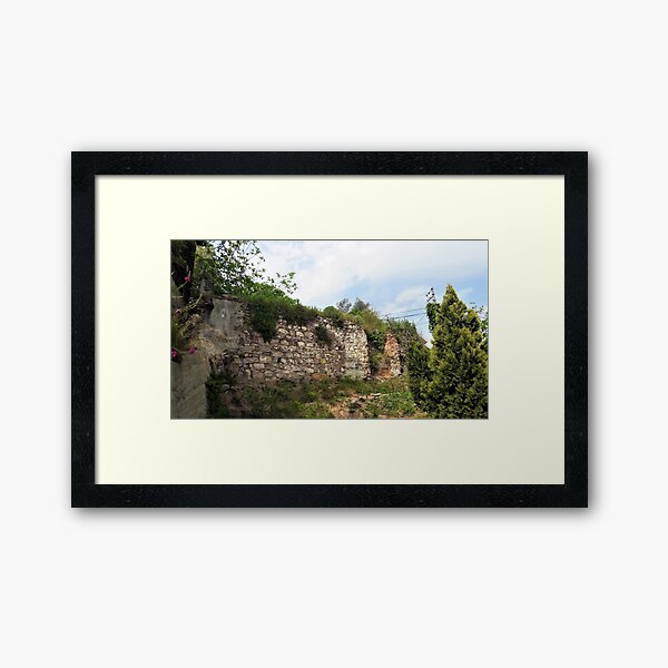 Framed Print