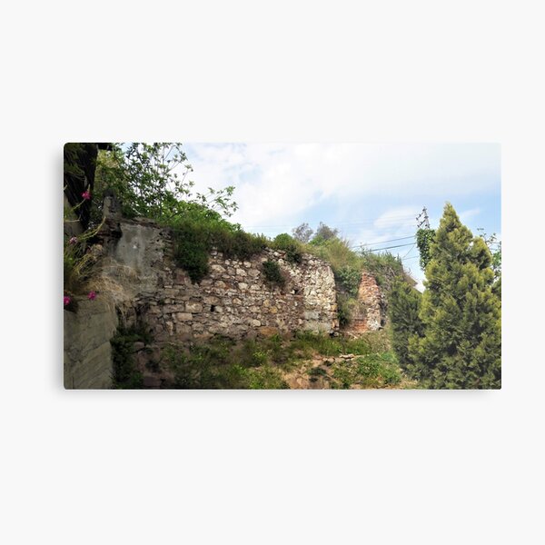 Metal Print