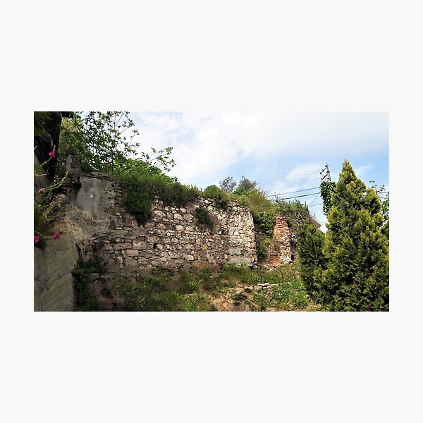 Photographic Print