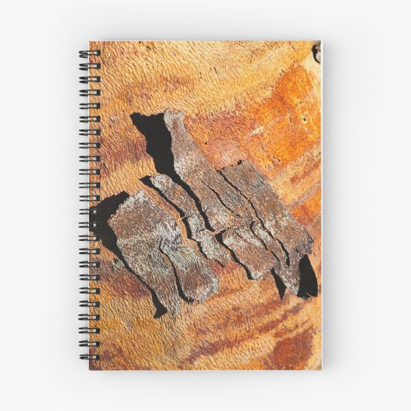 Item preview, Bark Of Flowering Gum designed and sold by Joy Watson - Natural Light Photography .