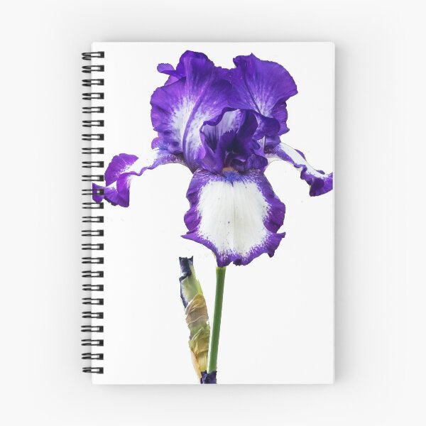 Item preview, Beautiful Purple and White Iris Flower designed and sold by Jon Shore.