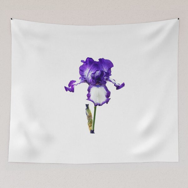 Item preview, Beautiful Purple and White Iris Flower designed and sold by Jon Shore.