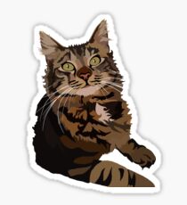 Maine Coon Sticker