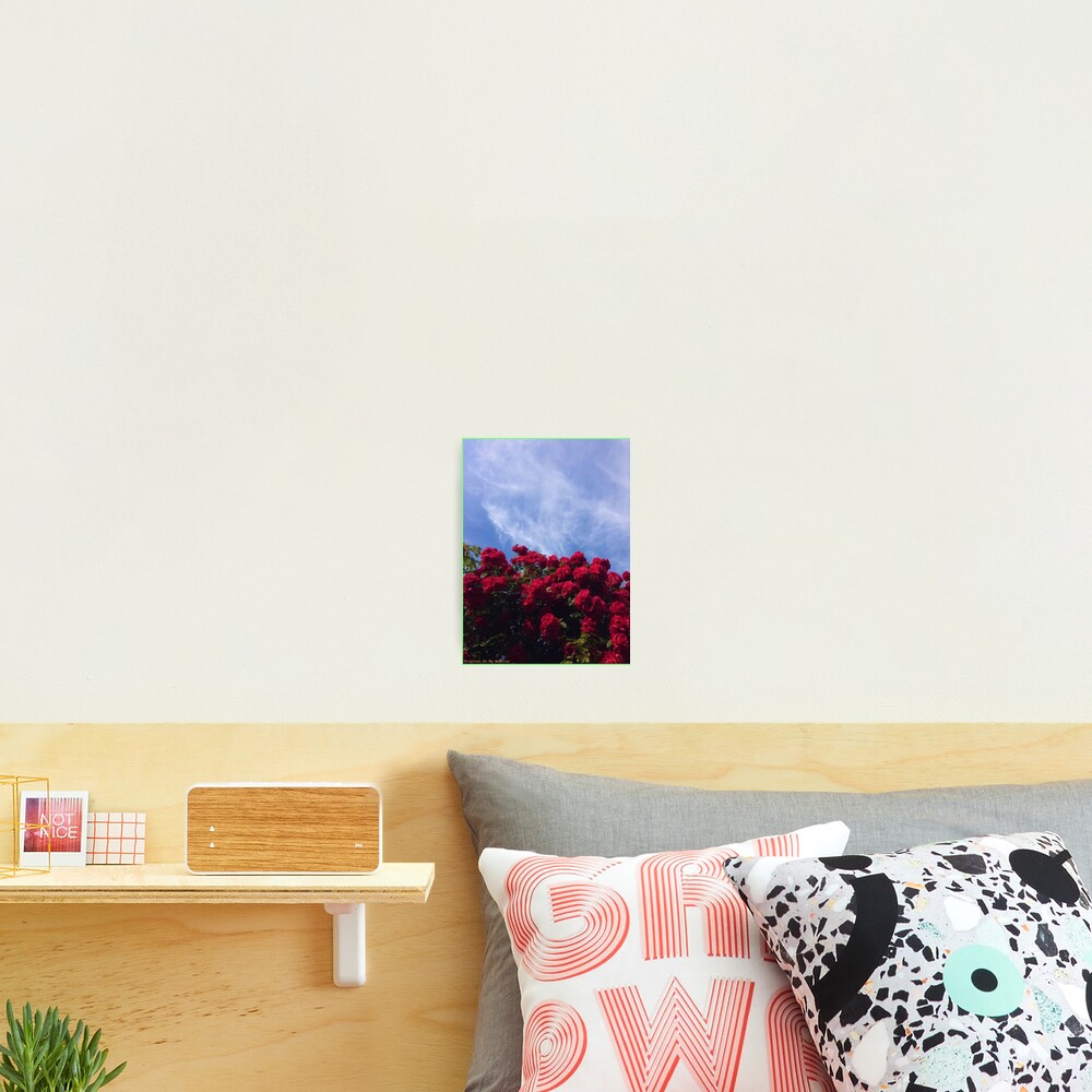 Item preview, Photographic Print designed and sold by starrily.