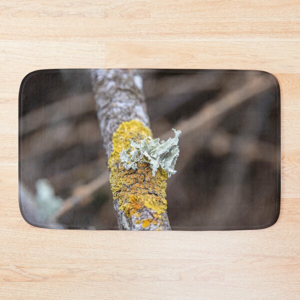 Artikelvorschau, Yellow and white lichen on a tree branch close up entworfen und verkauft von EG Creativity Art.