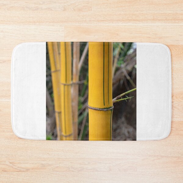 Artikelvorschau, Yellow bamboo trunks close-up on a blurred background entworfen und verkauft von EG Creativity Art.