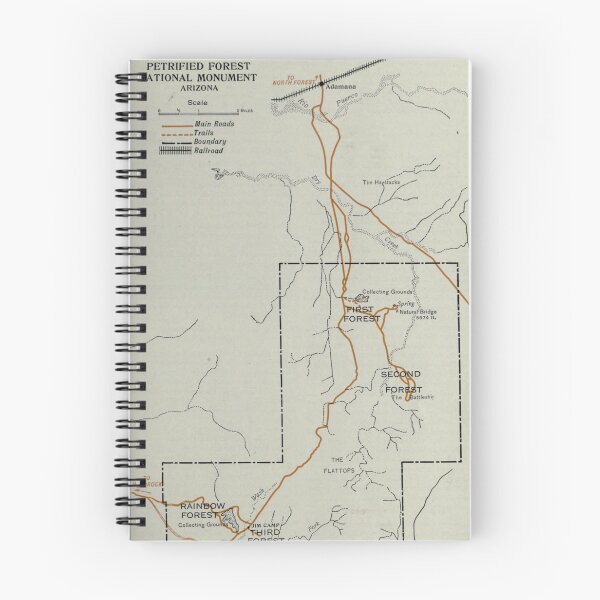 Item preview, Vintage Petrified Forest National Park Map (1919) designed and sold by BravuraMedia.