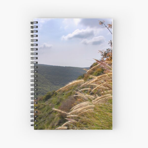 Artikel-Vorschau von View of the hills covered with green forest under a blue sky with clouds with grass and plants in the foreground. Israel, designt und verkauft von Emma Grimberg.