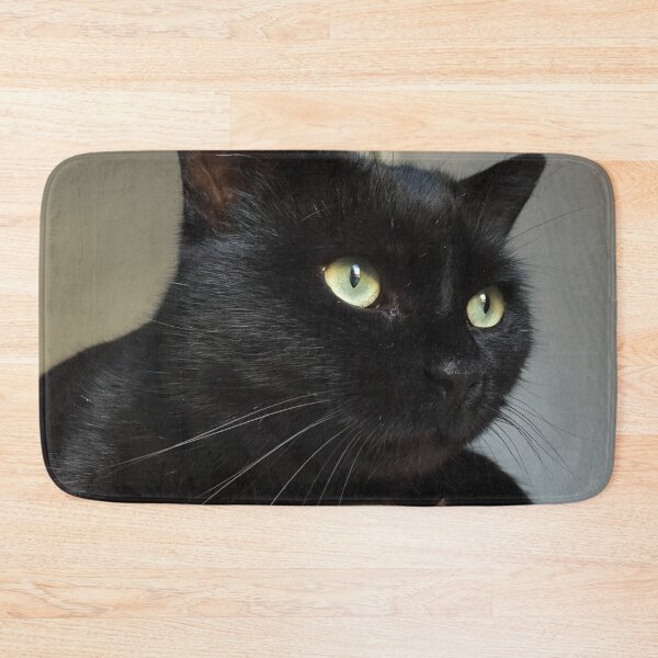 Item preview, Crockett designed and sold by AHELENE.
