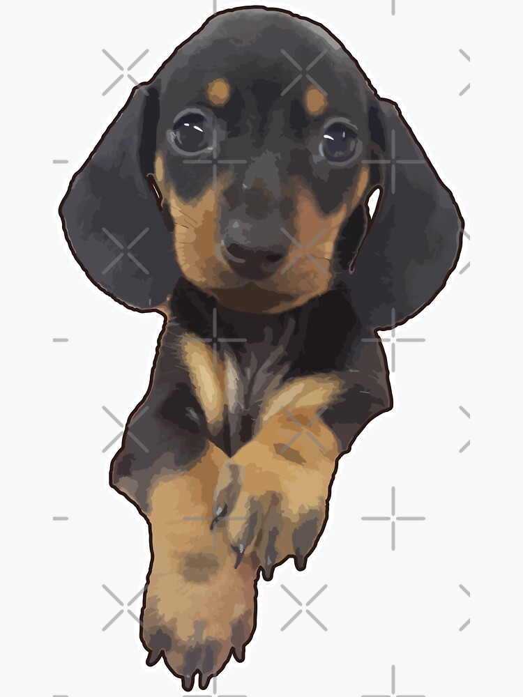 "Cute miniature Dachshund Puppy Gift for Sausage Dog Owner" Sticker