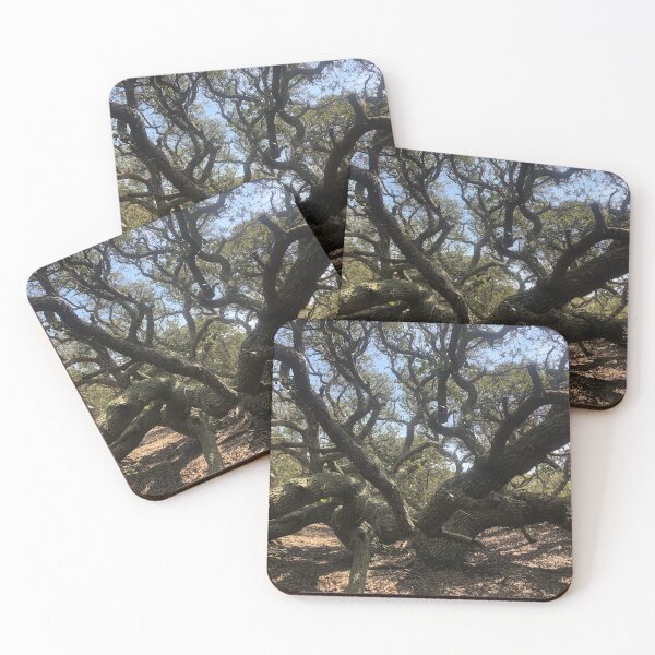 Item preview, Oldest Tree on the Island, Ocracoke North Carolina designed and sold by rachelhaak.