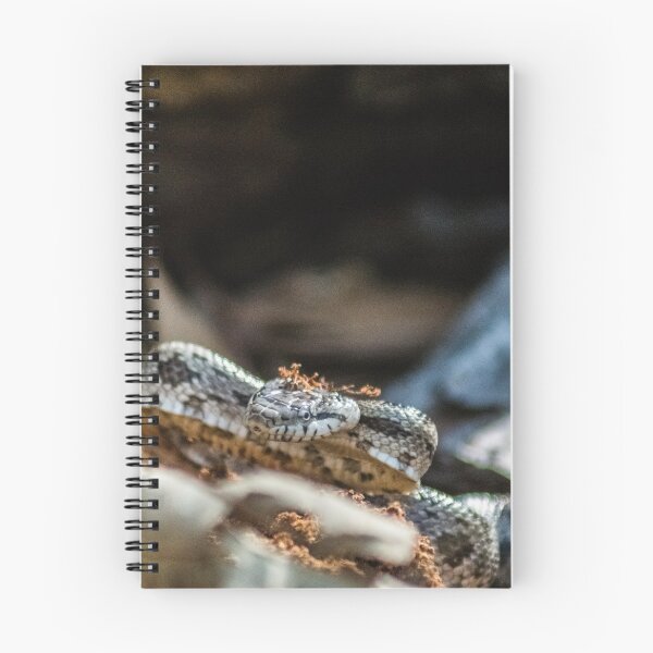 Item preview, cottonmouth designed and sold by KensLensDesigns.