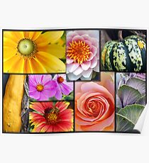 Gardener's Delight Poster
