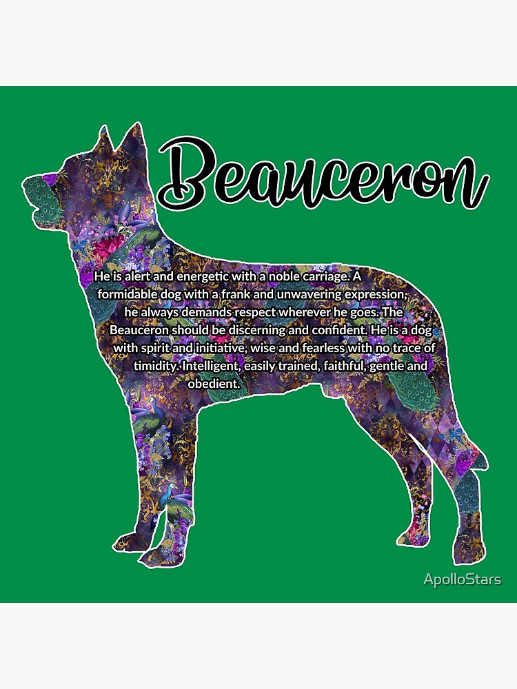 beauceron breed standard