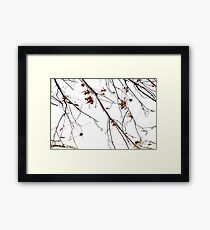 Tree of Dreams Framed Print