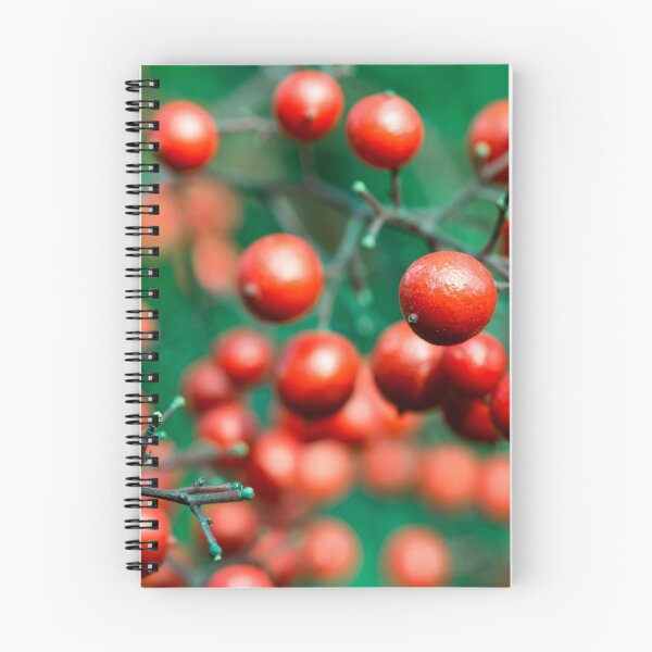 Item preview, complementary designed and sold by reflexio.
