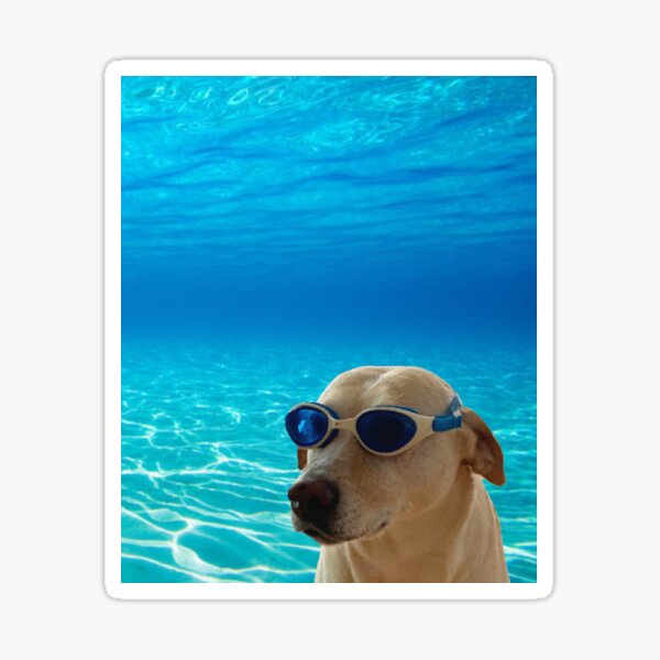 Aperçu de l'œuvre Chien sous l'eau créée et vendue par Cameron Mencunas.