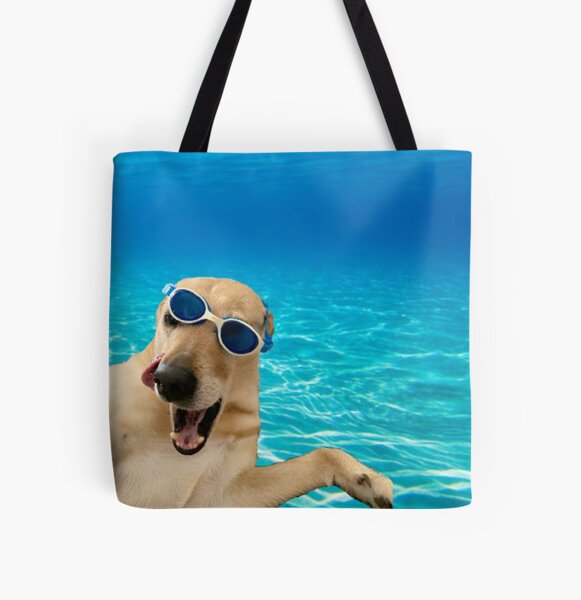 dog beach bag