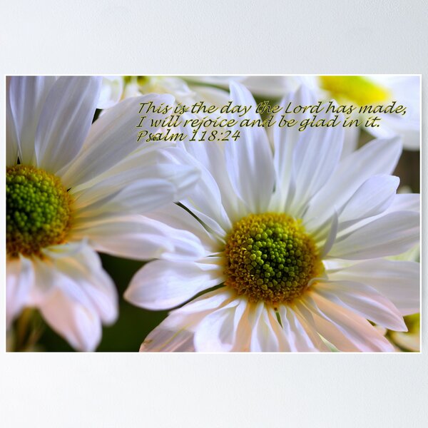 Item preview, Glenda's Daisies 2 designed and sold by Gary Boudreau.