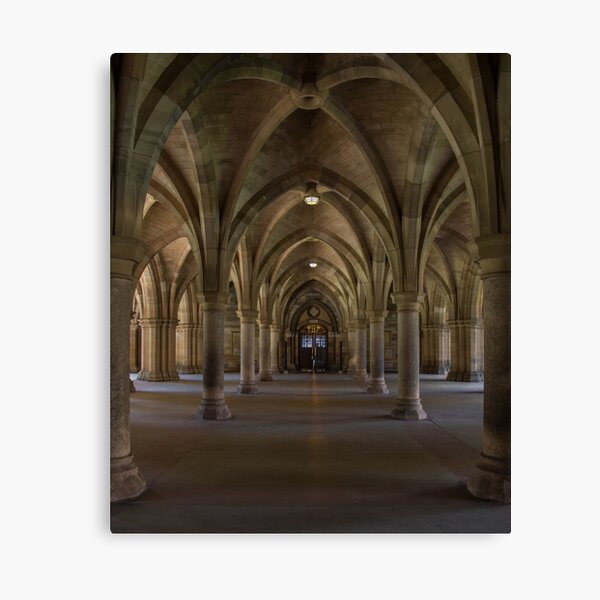 The door of opportunity Canvas Print