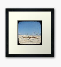 Grassy Dunes - TTV #4 Framed Print