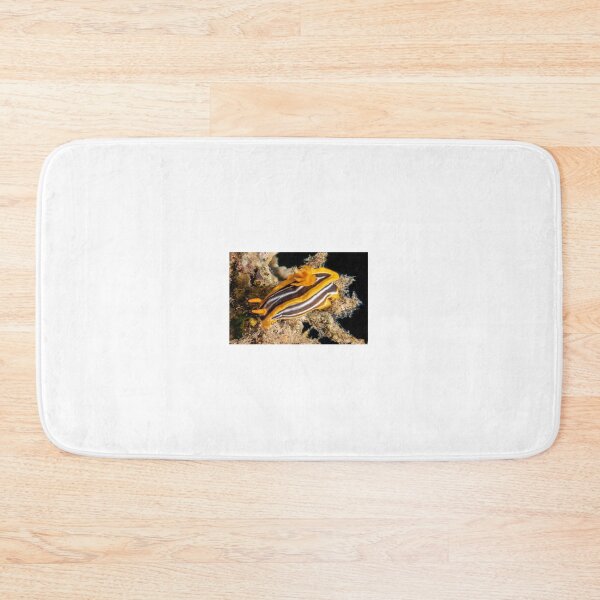 Item preview, Sea slug in the Red Sea, Eilat Israel designed and sold by yeshayad.