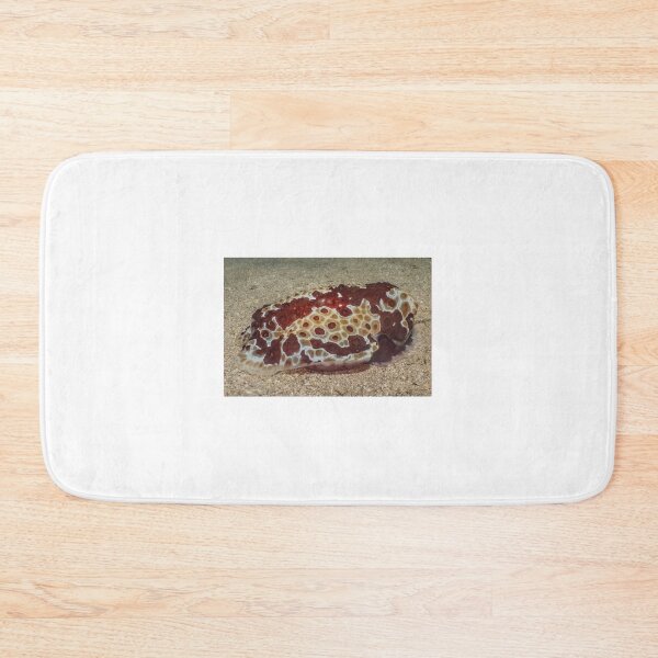 Item preview, Sea slug in the Red Sea, Eilat Israel designed and sold by yeshayad.