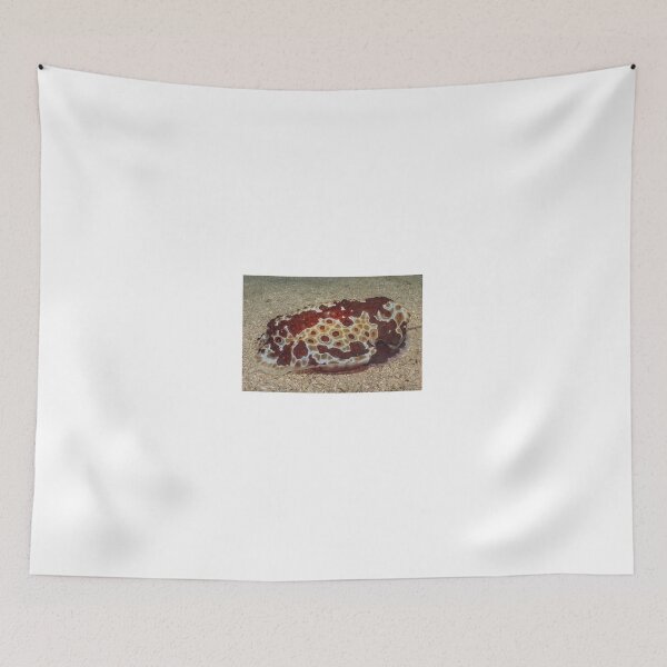Item preview, Sea slug in the Red Sea, Eilat Israel designed and sold by yeshayad.