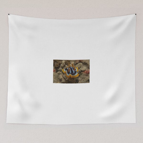 Item preview, Sea slug in the Red Sea, Eilat Israel designed and sold by yeshayad.