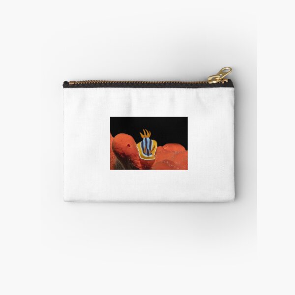 Item preview, Sea slug in the Red Sea Colorful and beautiful, Eilat Israel designed and sold by yeshayad.
