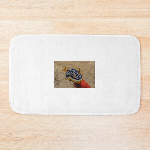 Item preview, Sea slug in the Red Sea Colorful and beautiful, Eilat Israel designed and sold by yeshayad.