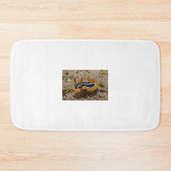Item preview, Sea slug in the Red Sea Colorful and beautiful, Eilat Israel designed and sold by yeshayad.