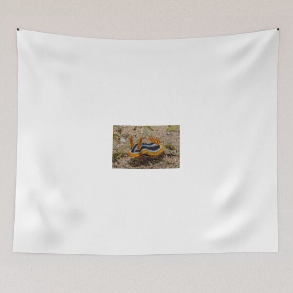 Item preview, Sea slug in the Red Sea Colorful and beautiful, Eilat Israel designed and sold by yeshayad.