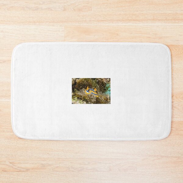Item preview, Sea slug in the Red Sea Colorful and beautiful, Eilat Israel designed and sold by yeshayad.