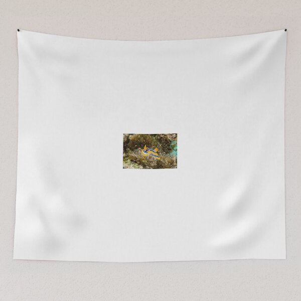 Item preview, Sea slug in the Red Sea Colorful and beautiful, Eilat Israel designed and sold by yeshayad.