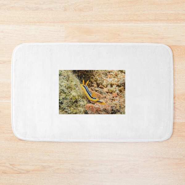 Item preview, Sea slug in the Red Sea Colorful and beautiful, Eilat Israel designed and sold by yeshayad.