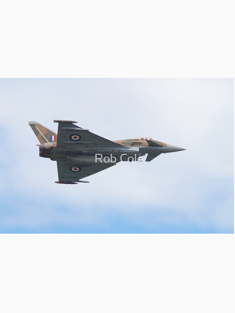 FRG4 Typhoon Eurofighter Jet Fighter Plane by robcole