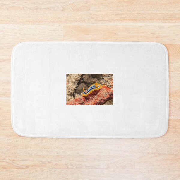 Item preview, Sea slug in the Red Sea Colorful and beautiful, Eilat Israel designed and sold by yeshayad.