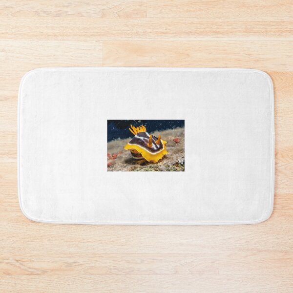 Item preview, Sea slug in the Red Sea Colorful and beautiful, Eilat Israel designed and sold by yeshayad.
