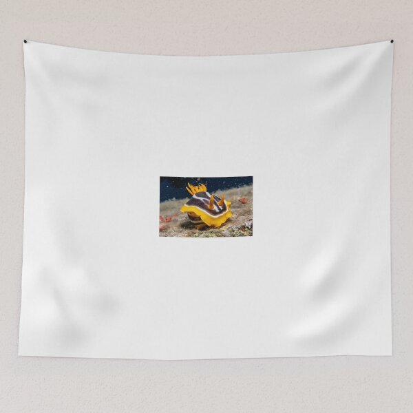 Item preview, Sea slug in the Red Sea Colorful and beautiful, Eilat Israel designed and sold by yeshayad.