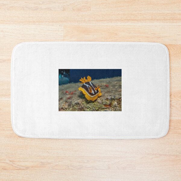 Item preview, Sea slug in the Red Sea Colorful and beautiful, Eilat Israel designed and sold by yeshayad.