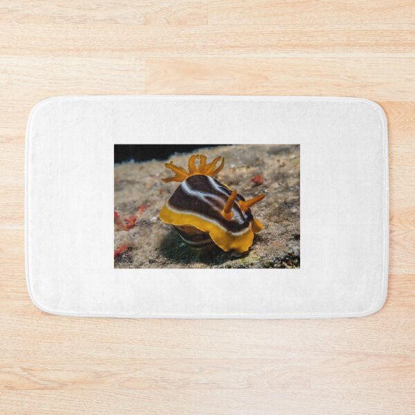 Item preview, Sea slug in the Red Sea Colorful and beautiful, Eilat Israel designed and sold by yeshayad.