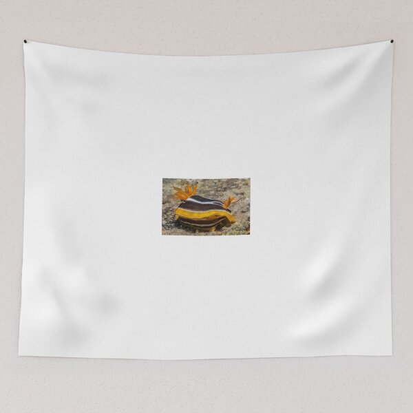 Item preview, Sea slug in the Red Sea Colorful and beautiful, Eilat Israel designed and sold by yeshayad.