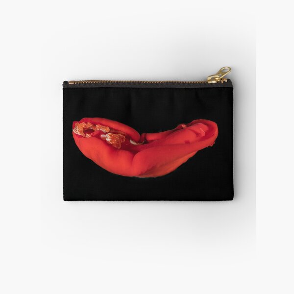 Item preview, Sea slug in the Red Sea Colorful and beautiful, Eilat Israel designed and sold by yeshayad.