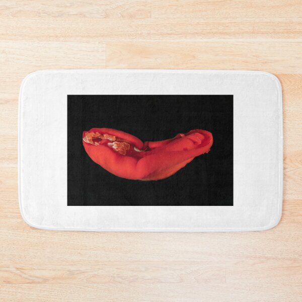 Item preview, Sea slug in the Red Sea Colorful and beautiful, Eilat Israel designed and sold by yeshayad.