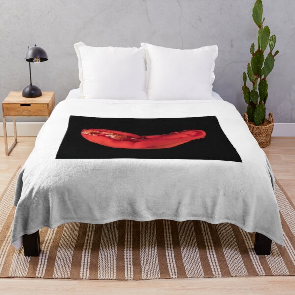 Item preview, Sea slug in the Red Sea Colorful and beautiful, Eilat Israel designed and sold by yeshayad.