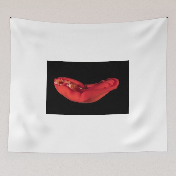 Item preview, Sea slug in the Red Sea Colorful and beautiful, Eilat Israel designed and sold by yeshayad.