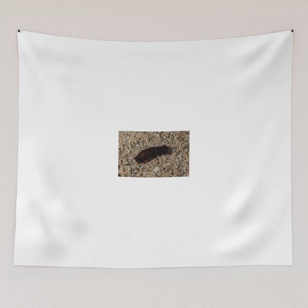 Item preview, Sea slug in the Red Sea Colorful and beautiful, Eilat Israel designed and sold by yeshayad.